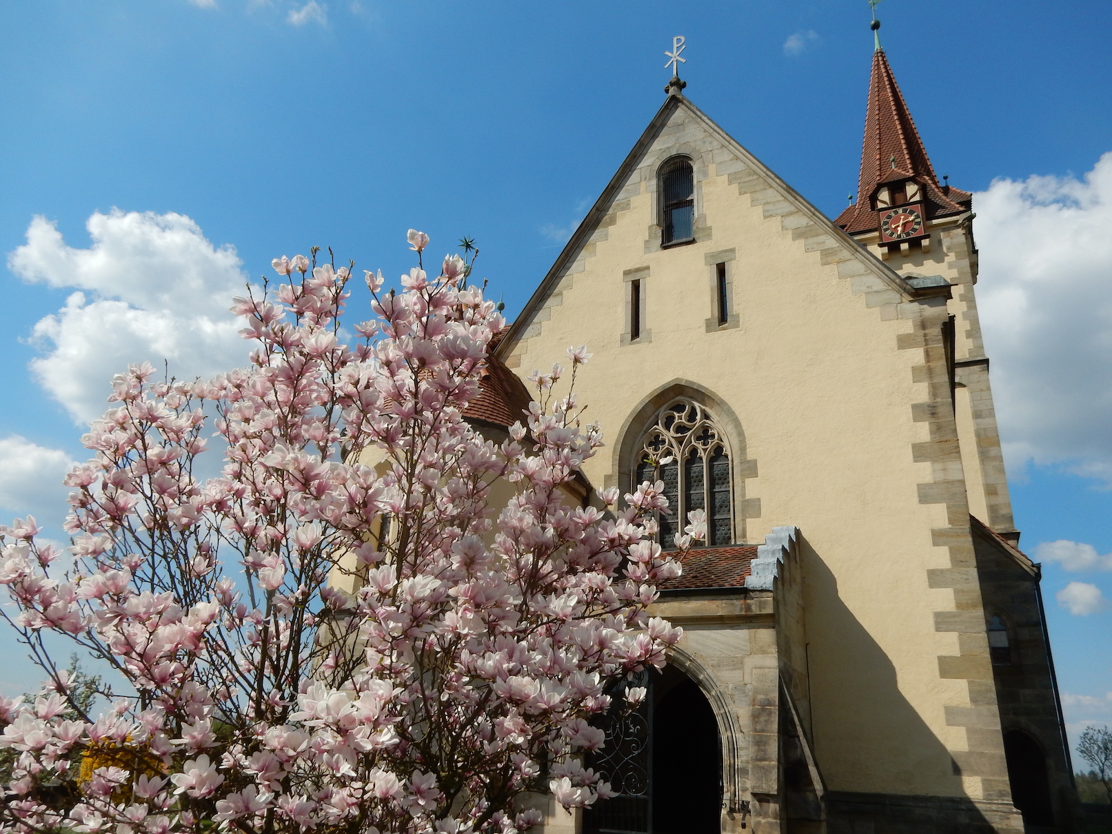 Bluehender Busch Kirche im Hintergrund