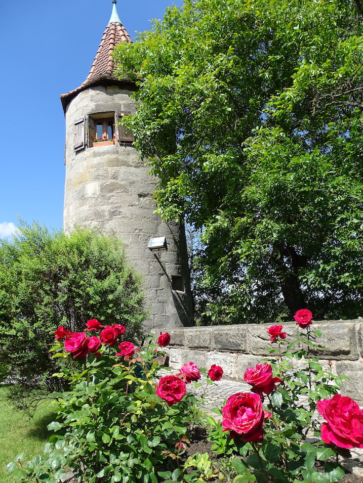 Hungerturm mit Rosenbeet