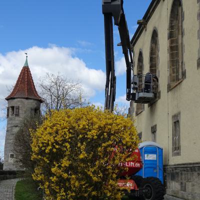 Fensterreinigung