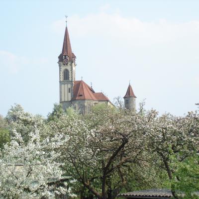 Jakobuskirche und blühende Bäume