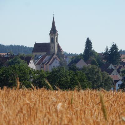 Kirche Mit Getreidefeld