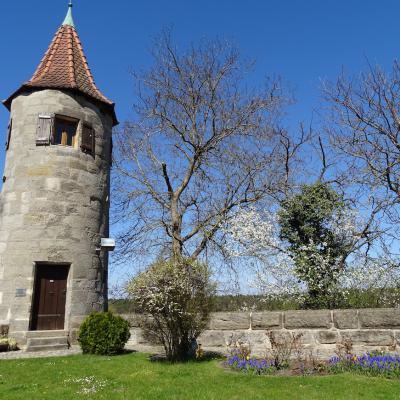 Hungerturm Im Fruehling